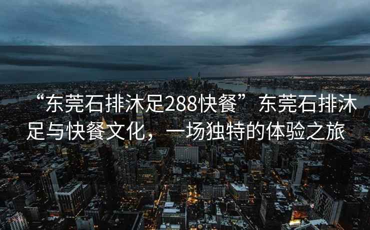 “東莞石排沐足288快餐”東莞石排沐足與快餐文化，一場獨特的體驗之旅