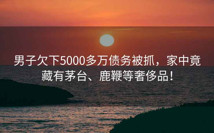 男子欠下5000多萬債務被抓，家中竟藏有茅臺、鹿鞭等奢侈品！