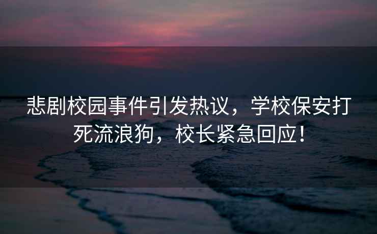 悲劇校園事件引發熱議，學校保安打死流浪狗，校長緊急回應！