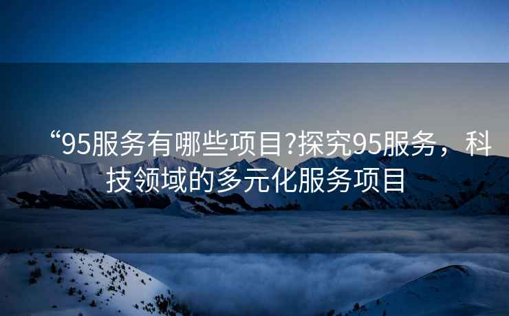 “95服務有哪些項目?探究95服務，科技領域的多元化服務項目