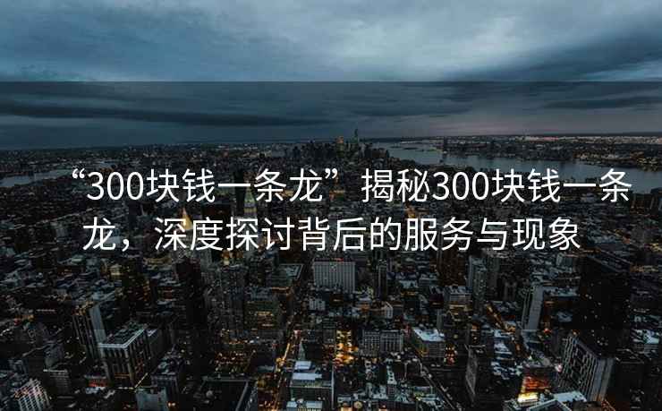 “300塊錢一條龍”揭秘300塊錢一條龍，深度探討背后的服務與現象