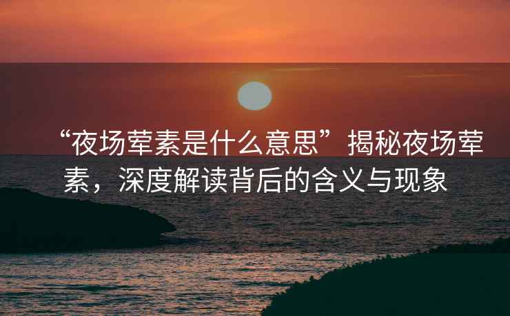 “夜場葷素是什么意思”揭秘夜場葷素，深度解讀背后的含義與現象