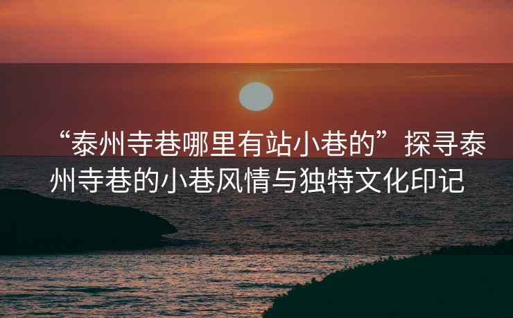 “泰州寺巷哪里有站小巷的”探尋泰州寺巷的小巷風情與獨特文化印記