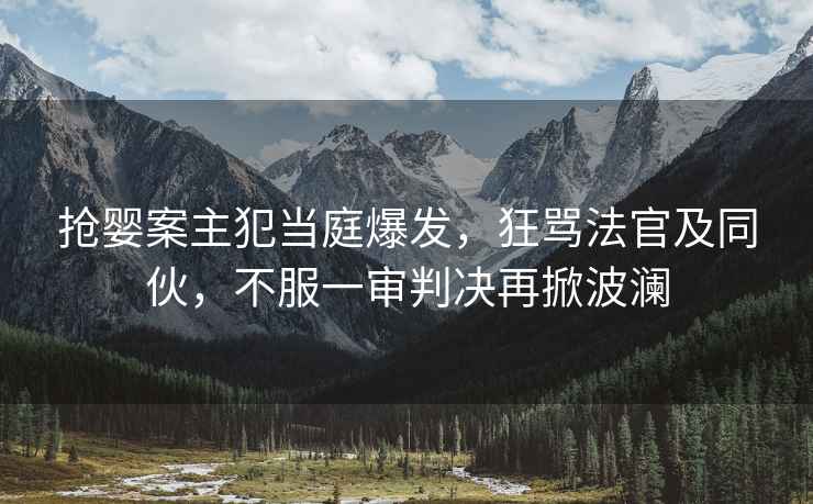 搶嬰案主犯當庭爆發(fā)，狂罵法官及同伙，不服一審判決再掀波瀾