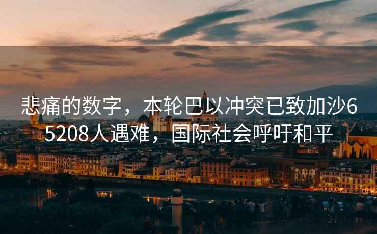 悲痛的數(shù)字，本輪巴以沖突已致加沙65208人遇難，國際社會呼吁和平