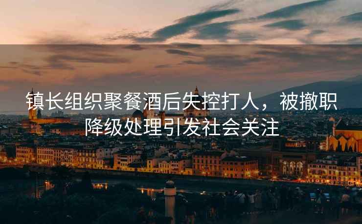 鎮(zhèn)長組織聚餐酒后失控打人，被撤職降級處理引發(fā)社會關(guān)注