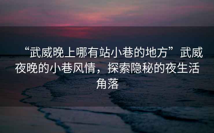 “武威晚上哪有站小巷的地方”武威夜晚的小巷風(fēng)情，探索隱秘的夜生活角落