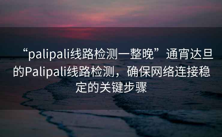 “palipali線路檢測一整晚”通宵達旦的Palipali線路檢測，確保網絡連接穩定的關鍵步驟