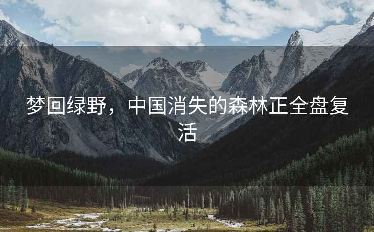 夢回綠野，中國消失的森林正全盤復活