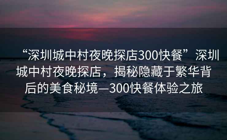 “深圳城中村夜晚探店300快餐”深圳城中村夜晚探店，揭秘隱藏于繁華背后的美食秘境—300快餐體驗(yàn)之旅