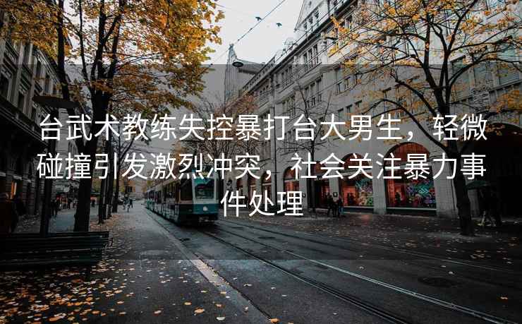 臺武術(shù)教練失控暴打臺大男生，輕微碰撞引發(fā)激烈沖突，社會關(guān)注暴力事件處理