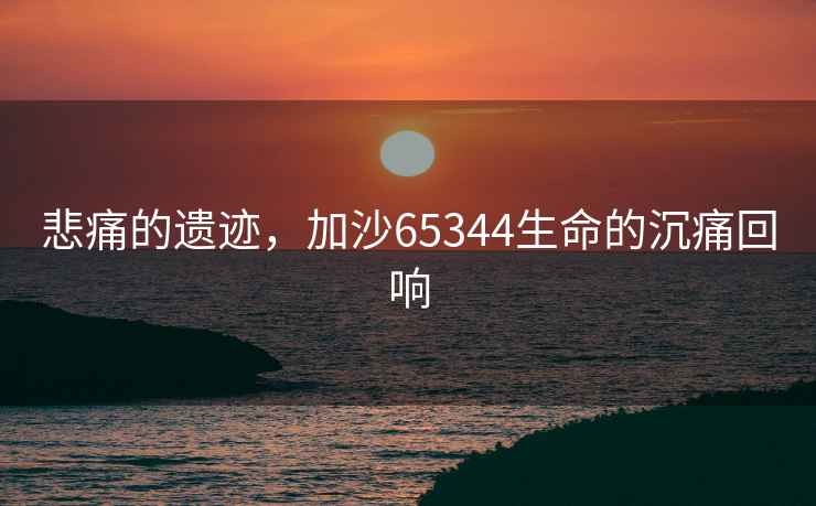 悲痛的遺跡，加沙65344生命的沉痛回響