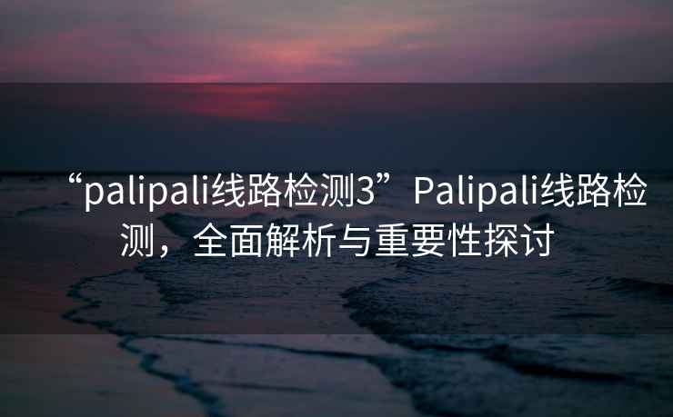 “palipali線路檢測3”Palipali線路檢測，全面解析與重要性探討