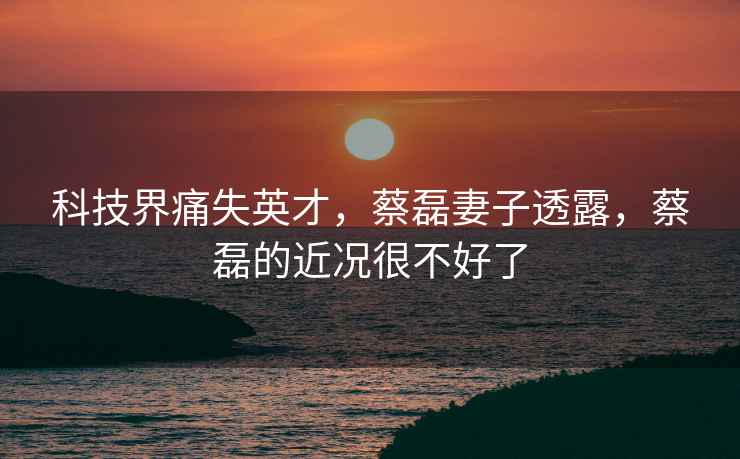 科技界痛失英才，蔡磊妻子透露，蔡磊的近況很不好了