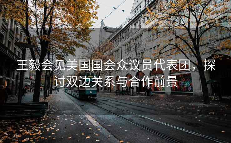 王毅會見美國國會眾議員代表團，探討雙邊關系與合作前景