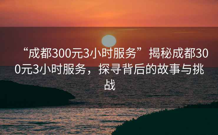 “成都300元3小時服務”揭秘成都300元3小時服務，探尋背后的故事與挑戰