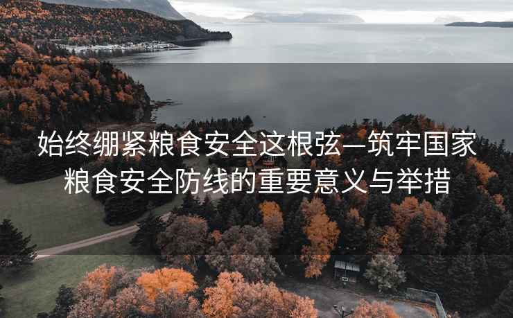 始終繃緊糧食安全這根弦—筑牢國家糧食安全防線的重要意義與舉措 始終繃緊糧食安全這根弦—筑牢國家糧食安全防線的重要意義與舉措