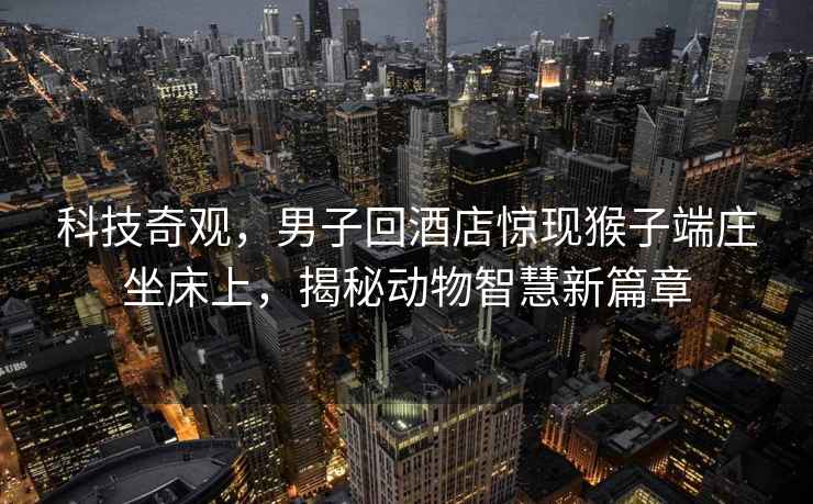 科技奇觀，男子回酒店驚現(xiàn)猴子端莊坐床上，揭秘動(dòng)物智慧新篇章