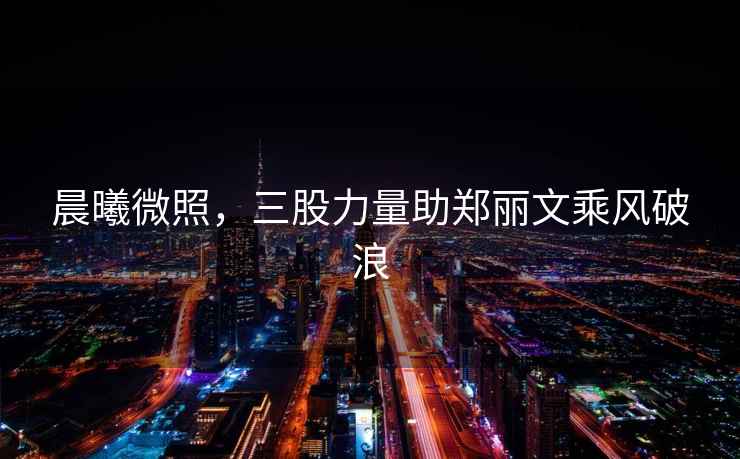 晨曦微照，三股力量助鄭麗文乘風(fēng)破浪