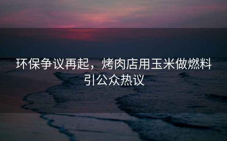 環(huán)保爭議再起，烤肉店用玉米做燃料引公眾熱議