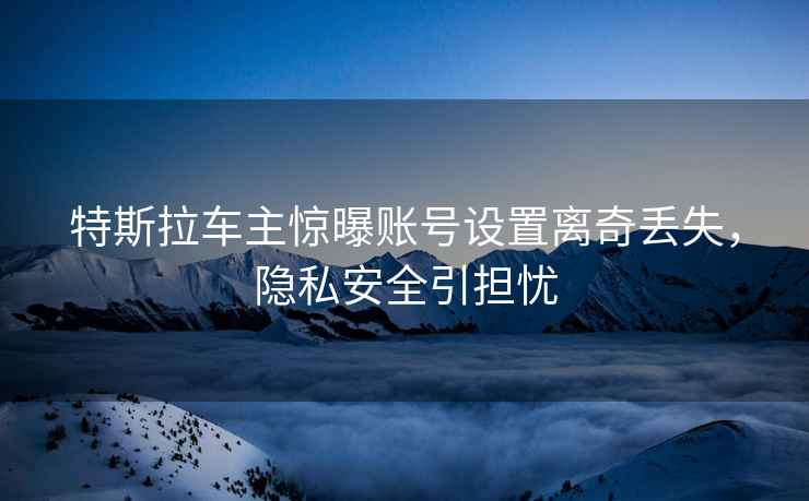 特斯拉車主驚曝賬號設置離奇丟失，隱私安全引擔憂