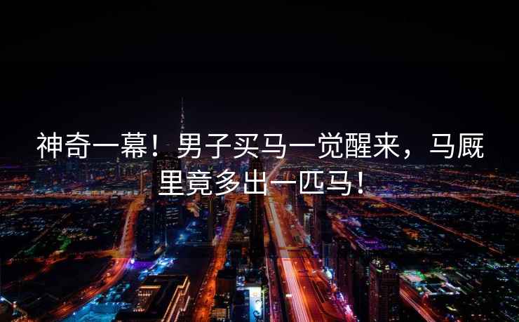 神奇一幕！男子買馬一覺(jué)醒來(lái)，馬廄里竟多出一匹馬！