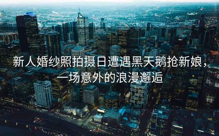 新人婚紗照拍攝日遭遇黑天鵝搶新娘,一場意外的浪漫邂逅 新人婚紗照拍攝日遭遇黑天鵝搶新娘,一場意外的浪漫邂逅