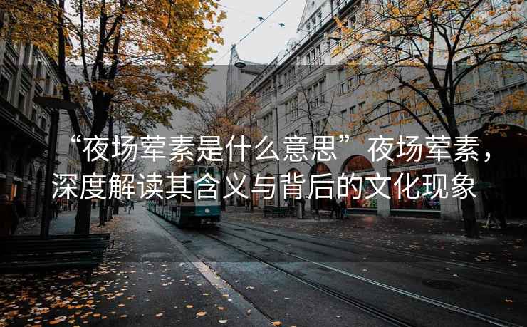 “夜場葷素是什么意思”夜場葷素，深度解讀其含義與背后的文化現象