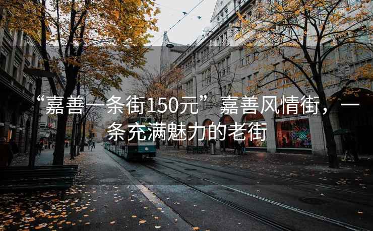 “嘉善一條街150元”嘉善風情街，一條充滿魅力的老街