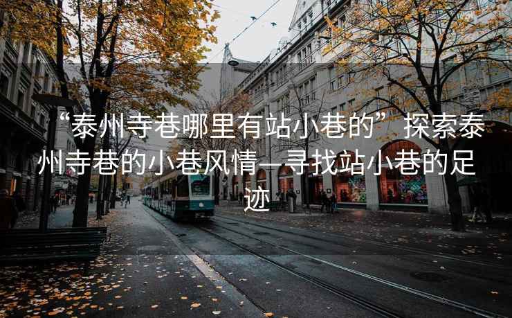 “泰州寺巷哪里有站小巷的”探索泰州寺巷的小巷風情—尋找站小巷的足跡 “泰州寺巷哪里有站小巷的”探索泰州寺巷的小巷風情—尋找站小巷的足跡