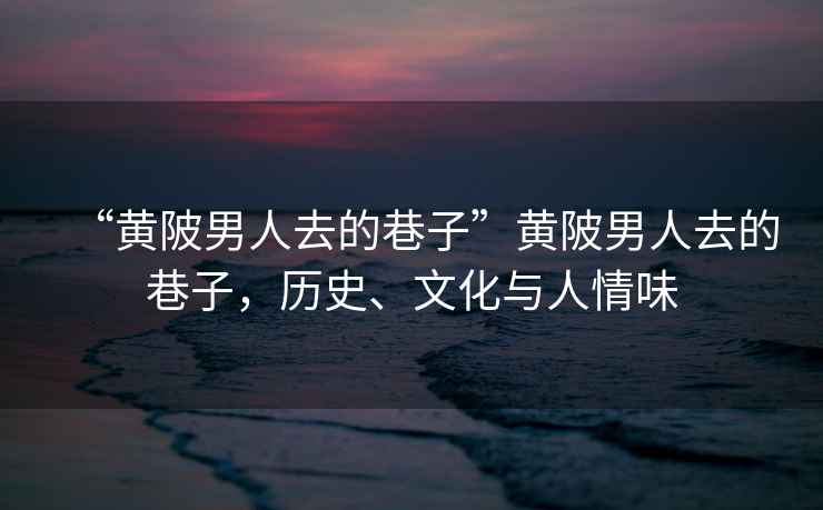 “黃陂男人去的巷子”黃陂男人去的巷子,歷史、文化與人情味 “黃陂男人去的巷子”黃陂男人去的巷子,歷史、文化與人情味